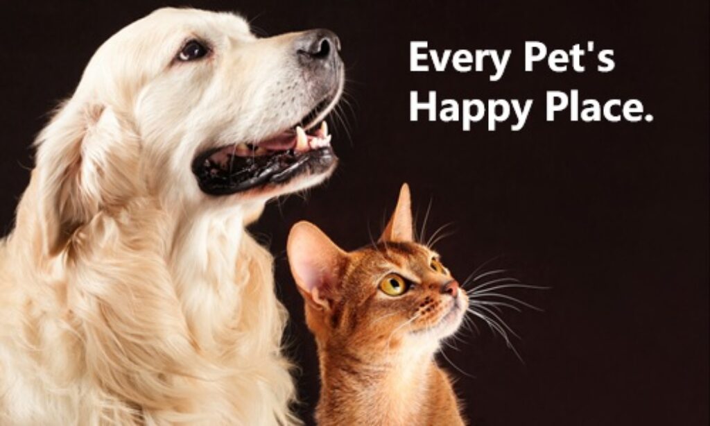 Pet supplies blog banner